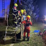 Kibic poszedł na „szybkie” zakupy w przerwie meczu. Skończył nabity na ogrodzenie